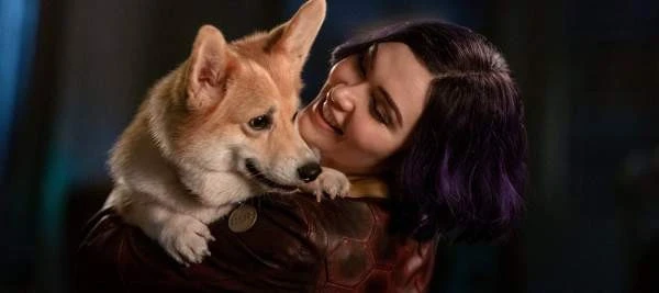 Создатель “Ковбоя Бибопа” не оценил адаптацию от Netflix — его хватило только на вступительную сцену – Архив статей