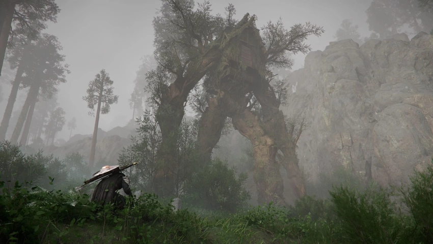 В Crimson Desert добавили новых ездовых животных и множество улучшений